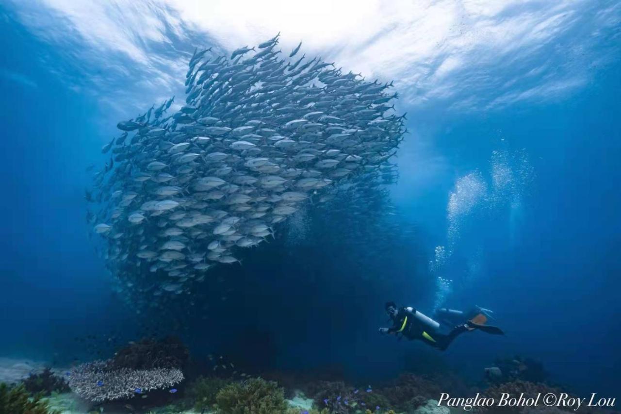 פנגלאו Ultra Mint Dive Resort מראה חיצוני תמונה